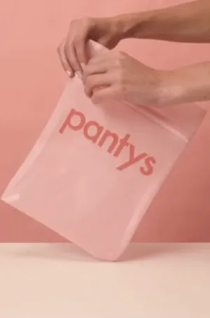 pantys wash bag